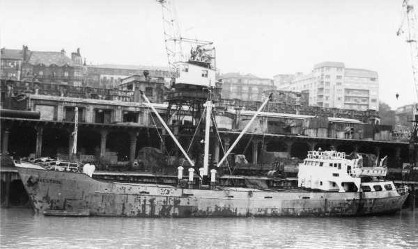 Maestrin by T. Diedrich Maestrin by T. Diedrich